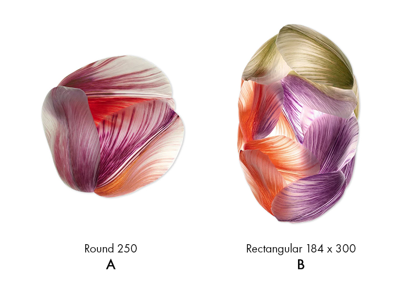 Ковер Tulip Mania - изображение 9