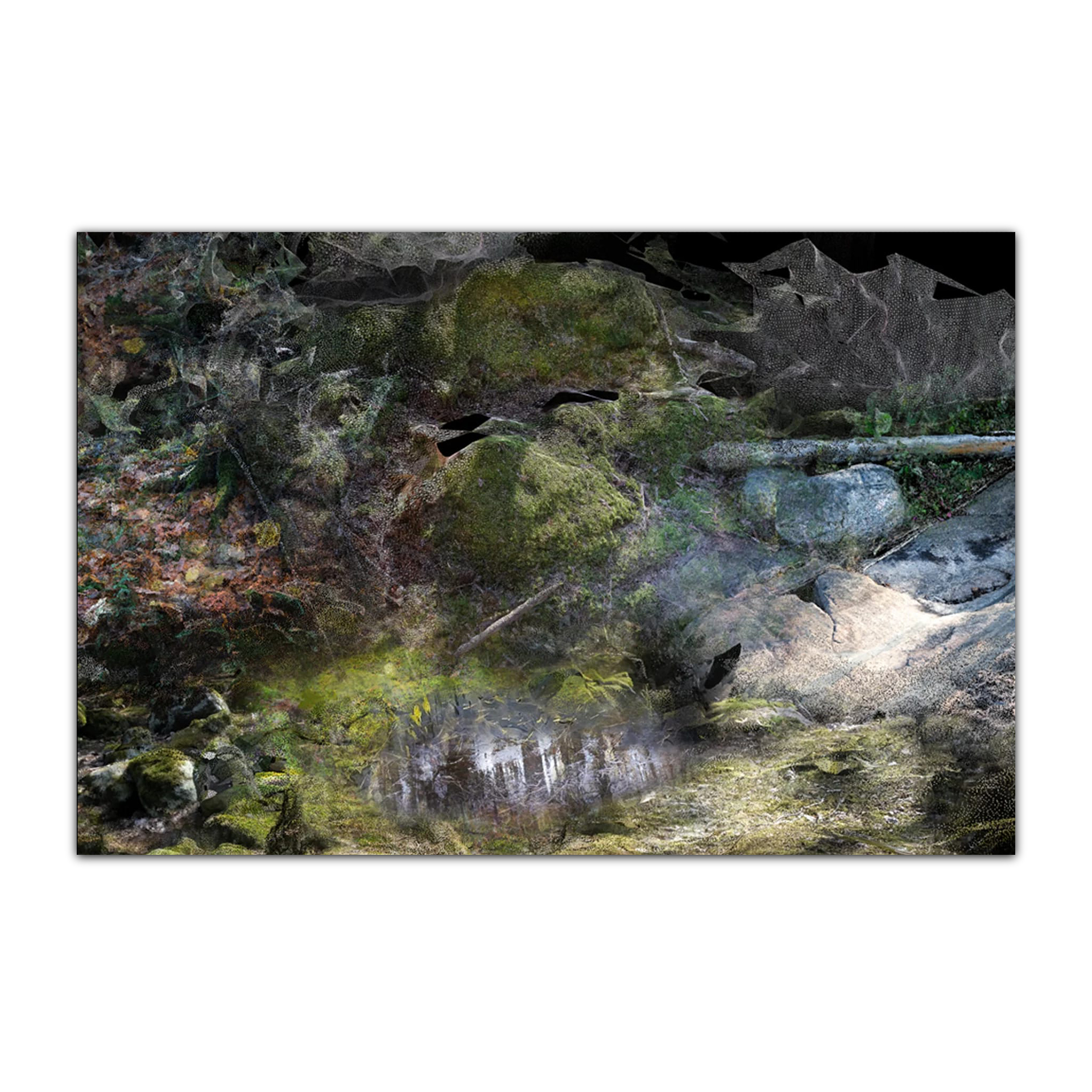 Ковер Forest Floors 