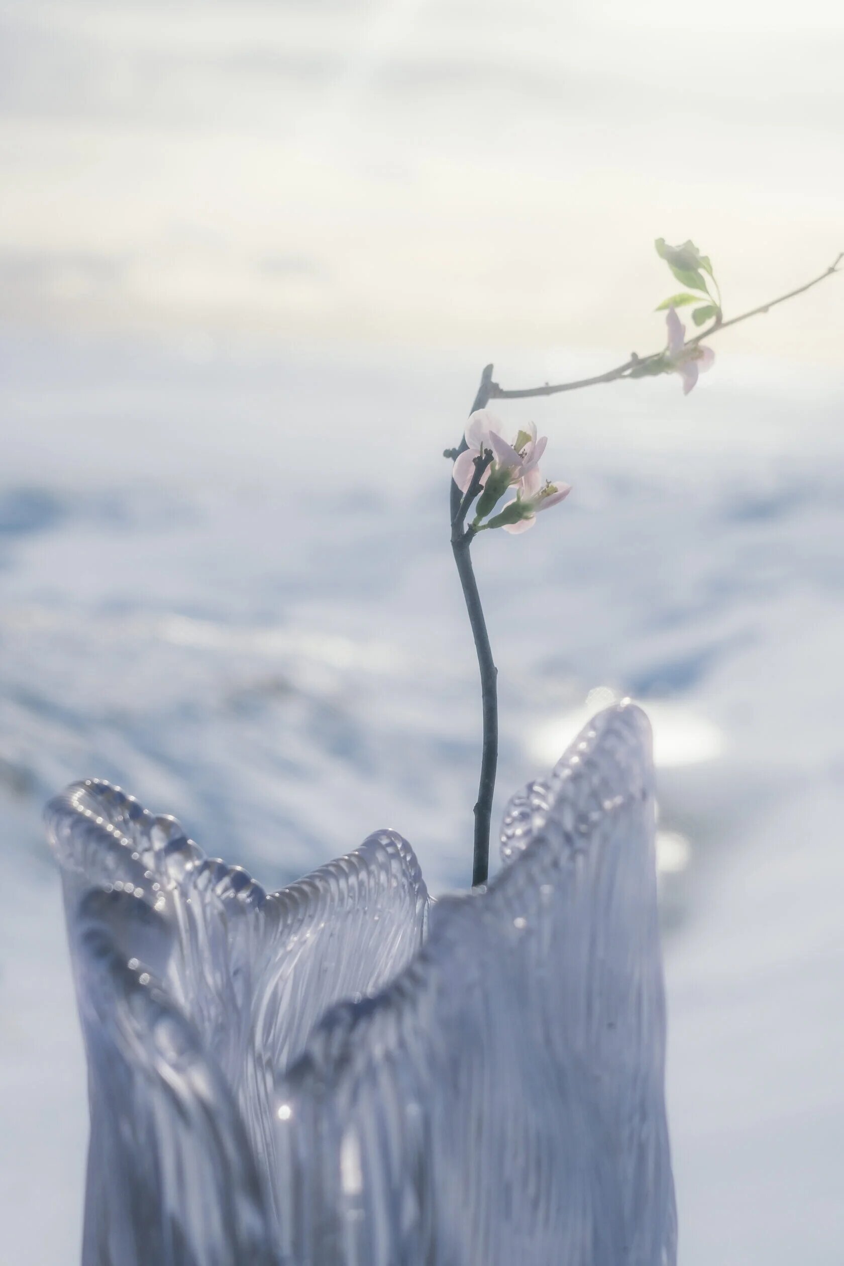 Ваза  VENERA - изображение 1