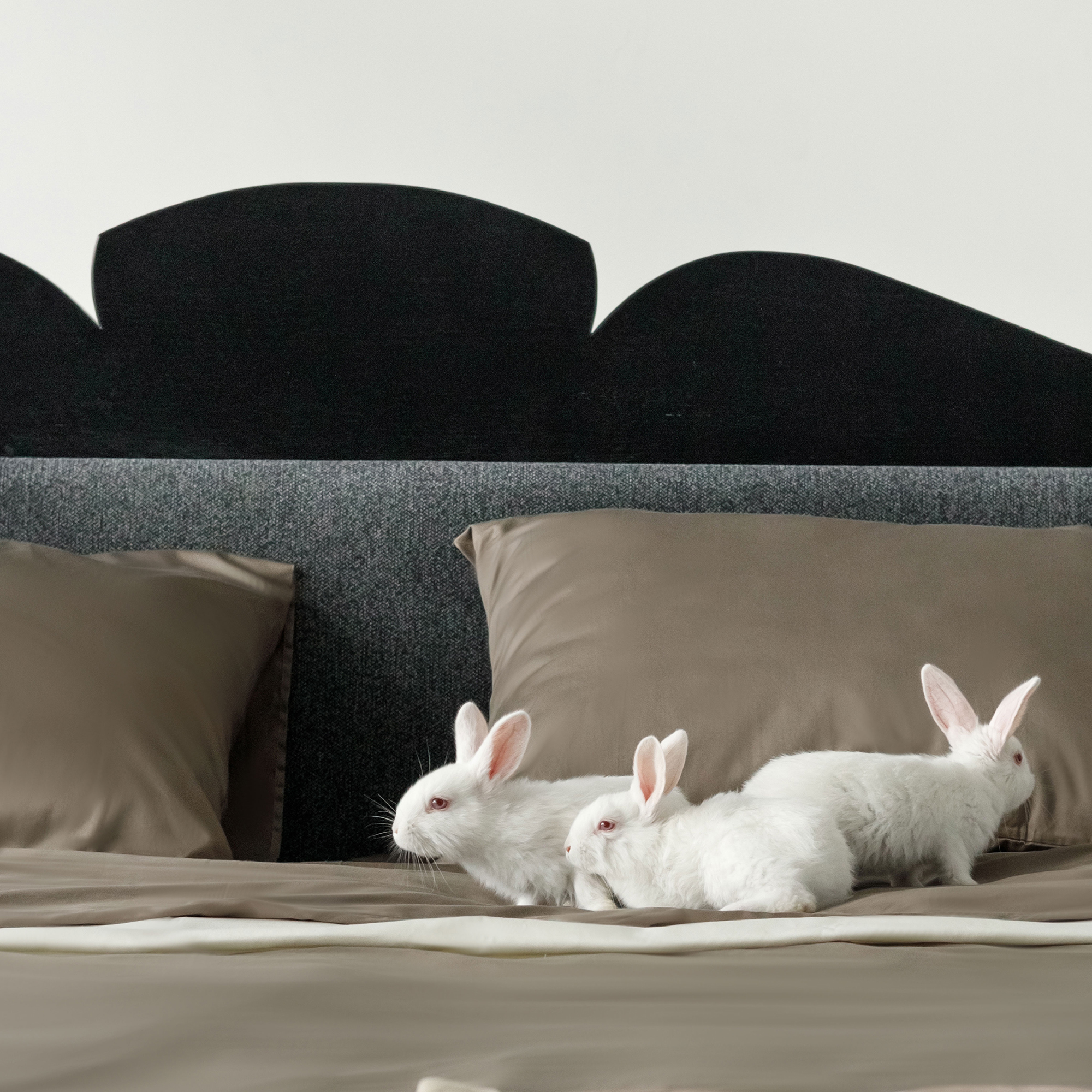 Кровать ФОРМА - изображение 5