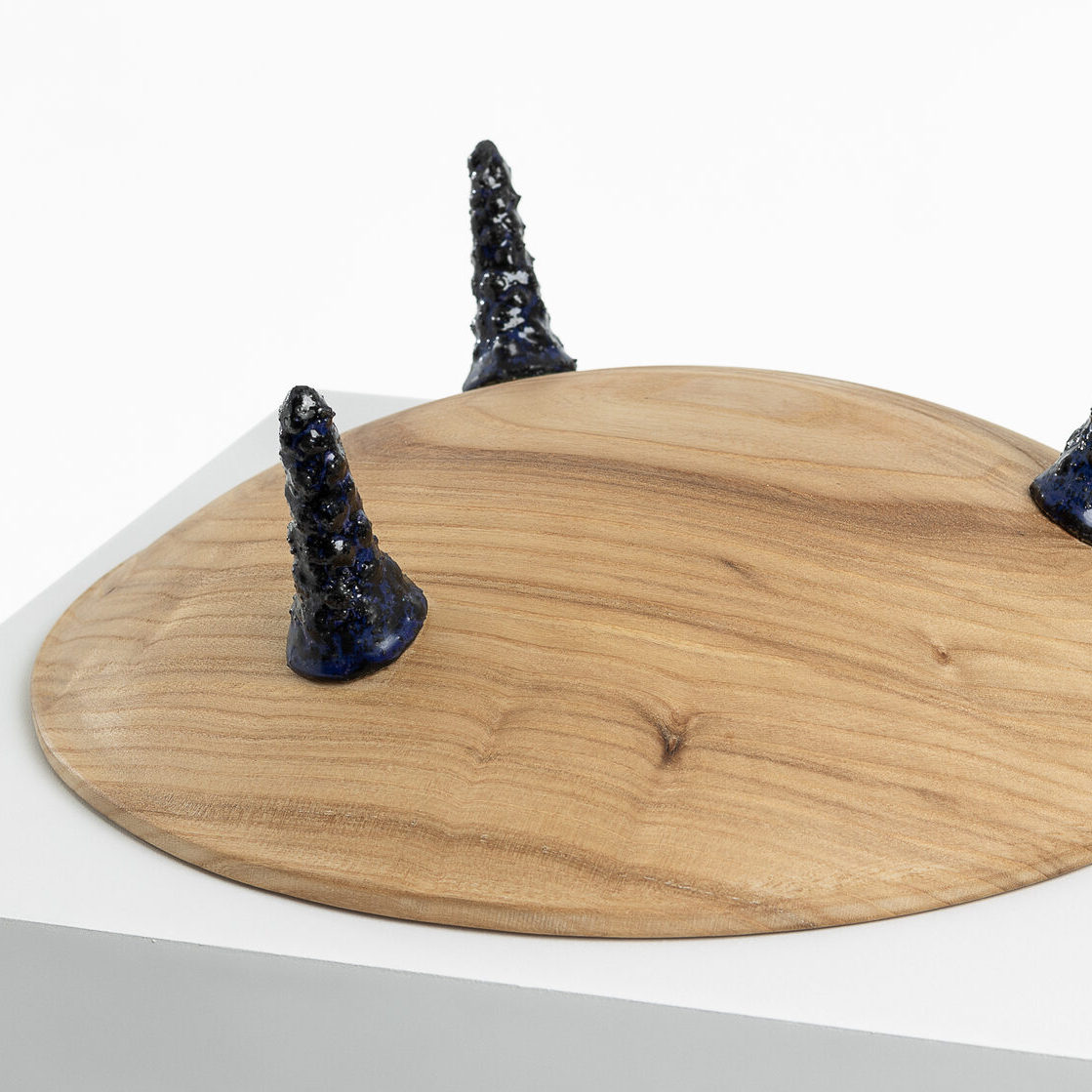 Блюдо Нелетающая тарелка I - изображение 5