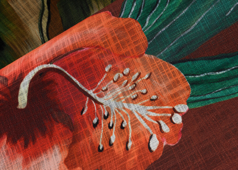 Les Mystères de Madagascar – Marrakech – 97530 - изображение 3