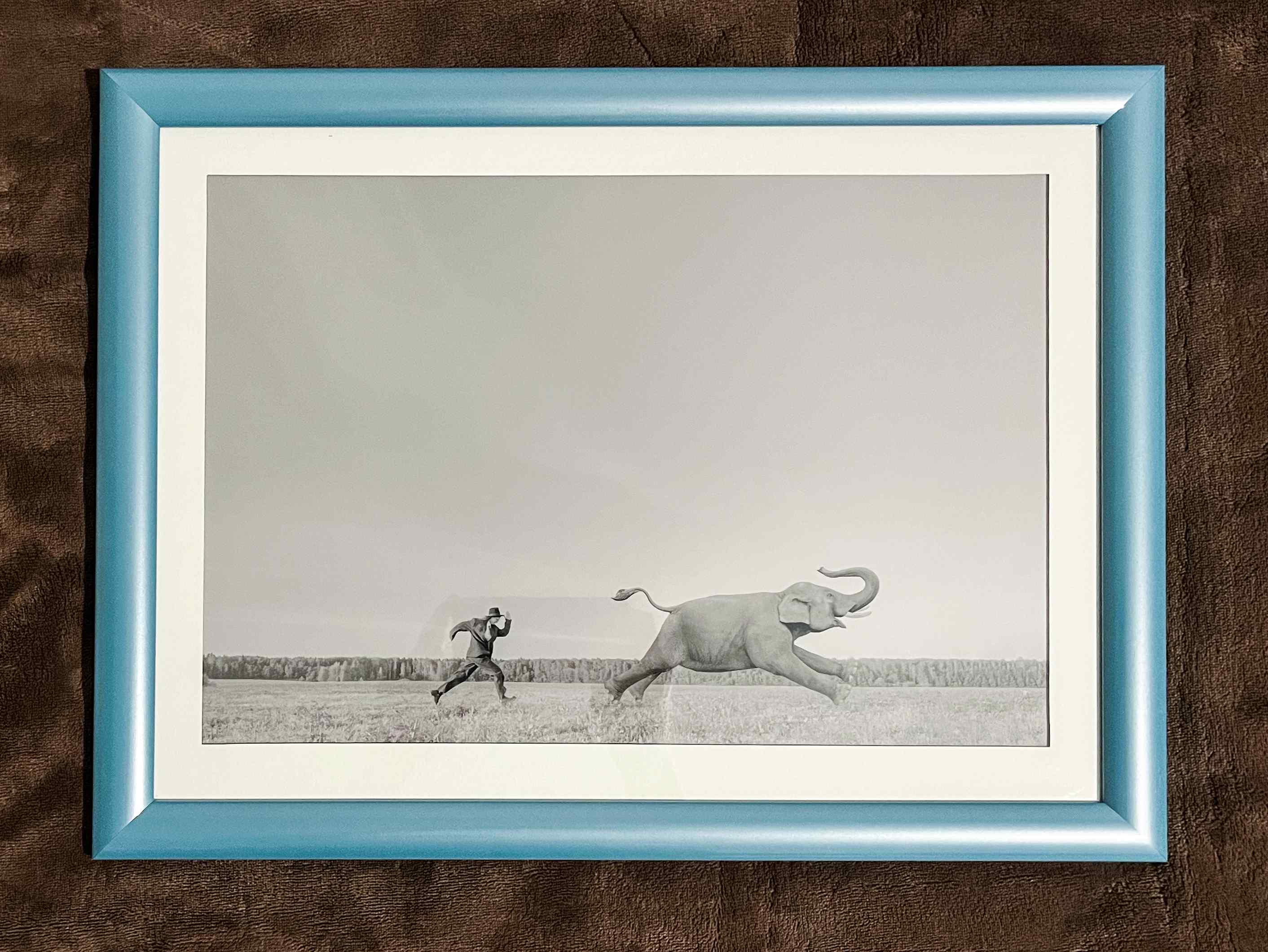 Постер "В погоне за слоном" - изображение 2