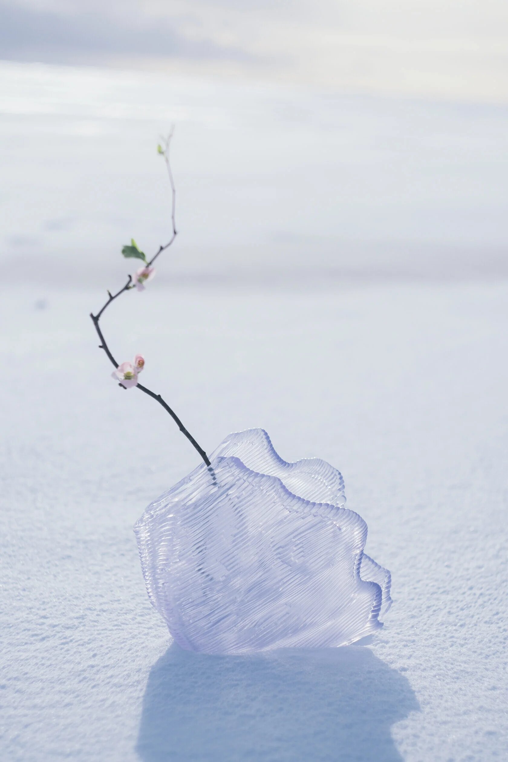 Ваза  VENERA - изображение 3