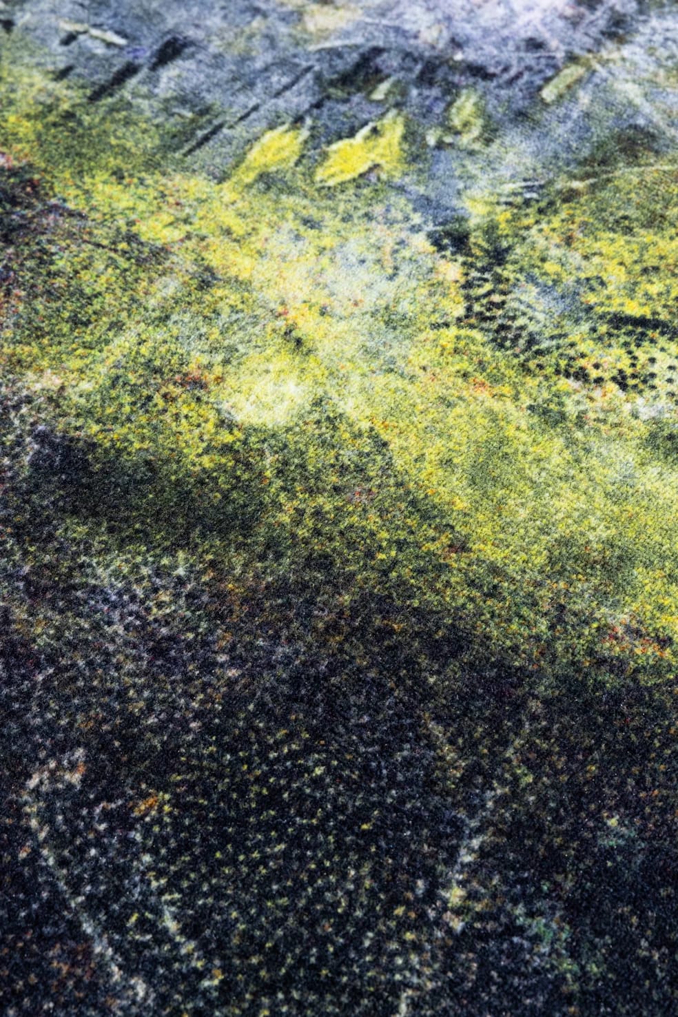 Ковер Forest Floors - изображение 4