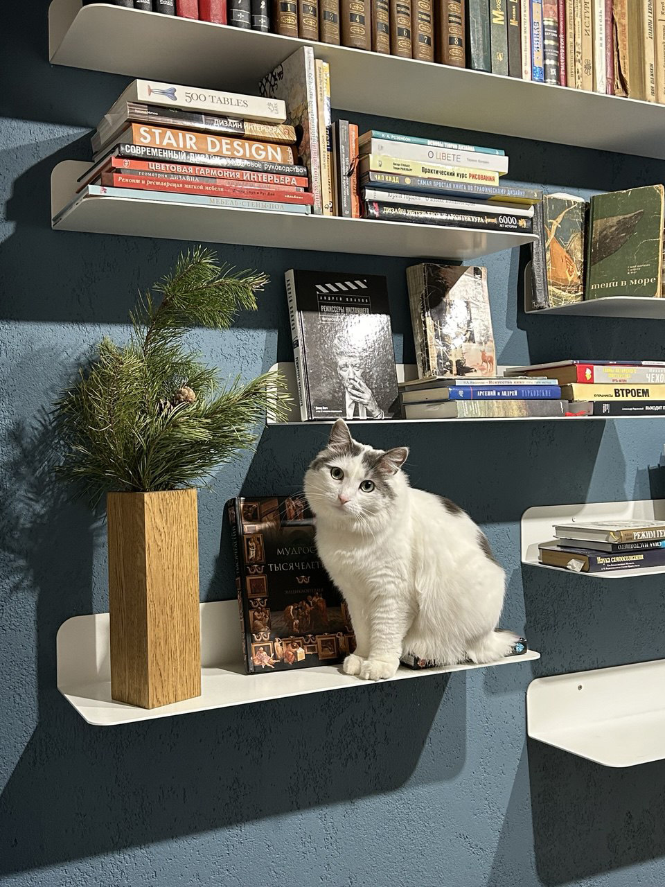 Полка Plasma - изображение 6