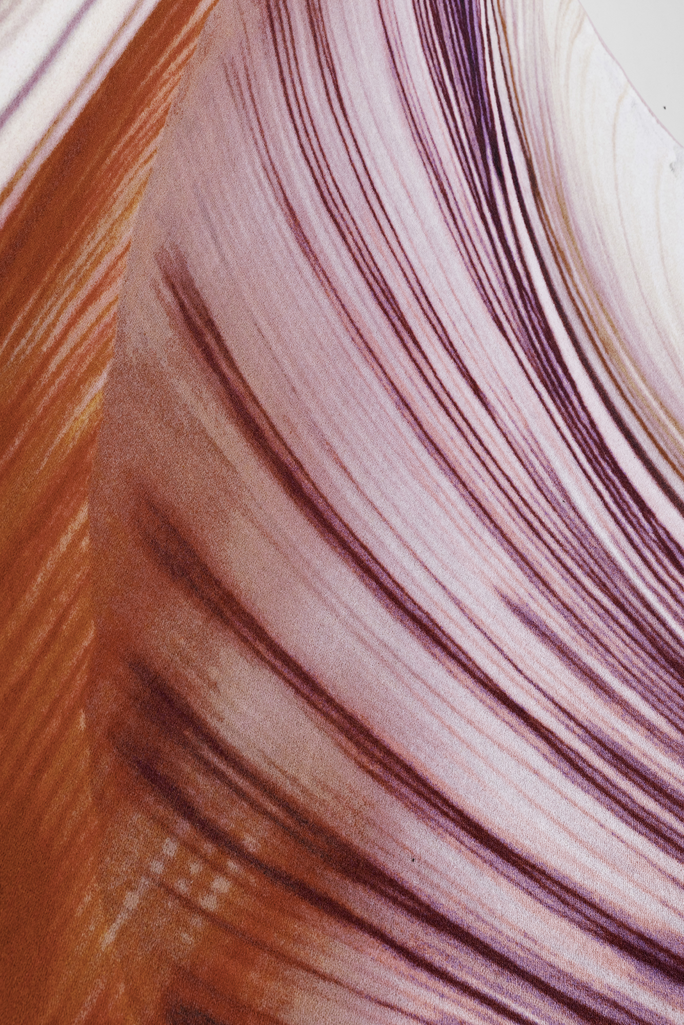 Ковер Tulip Mania - изображение 7