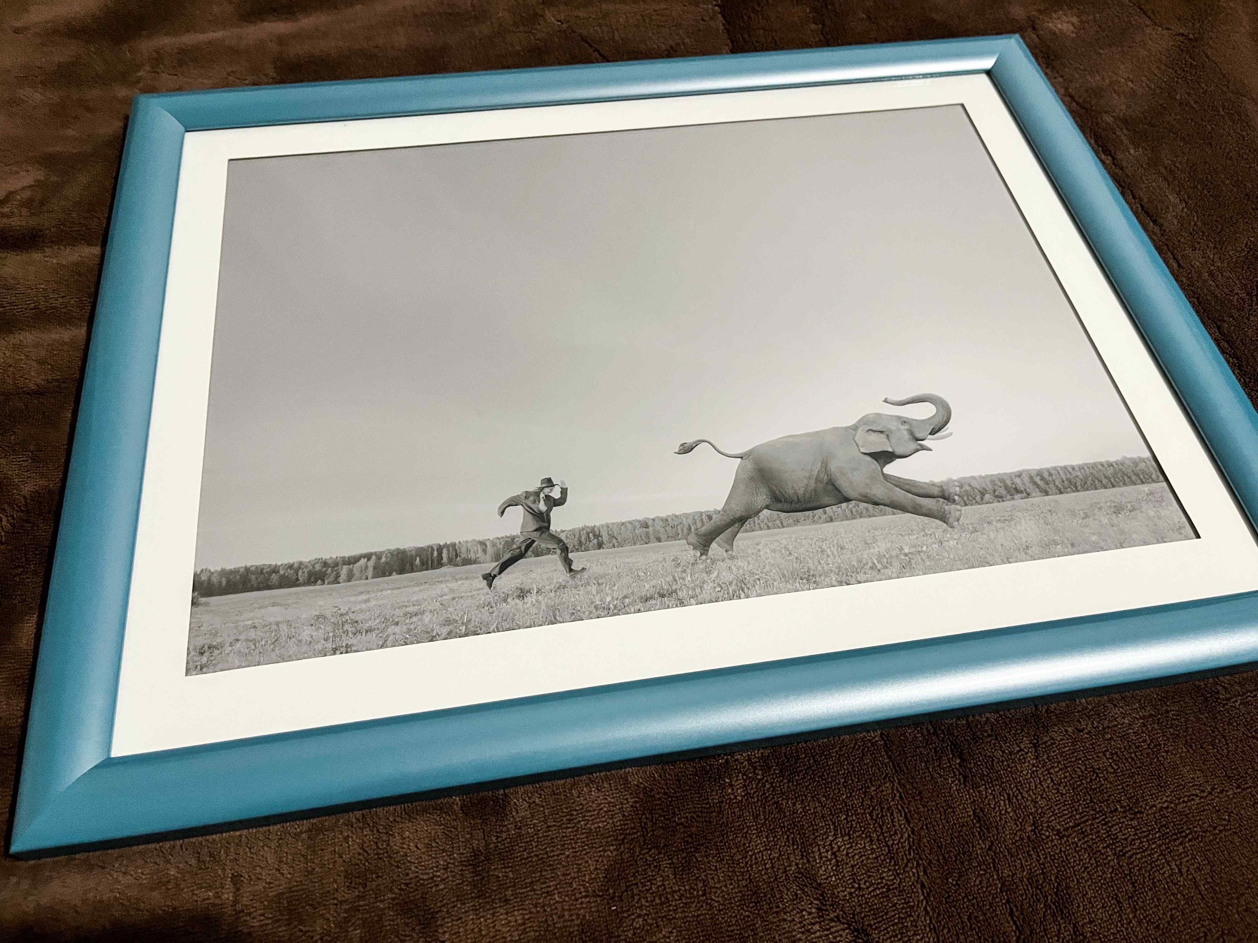 Постер "В погоне за слоном" - изображение 3